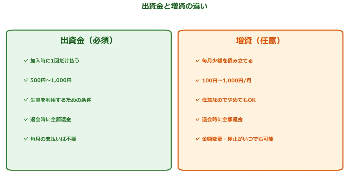 増資と出資金の違いを徹底解説の解説図