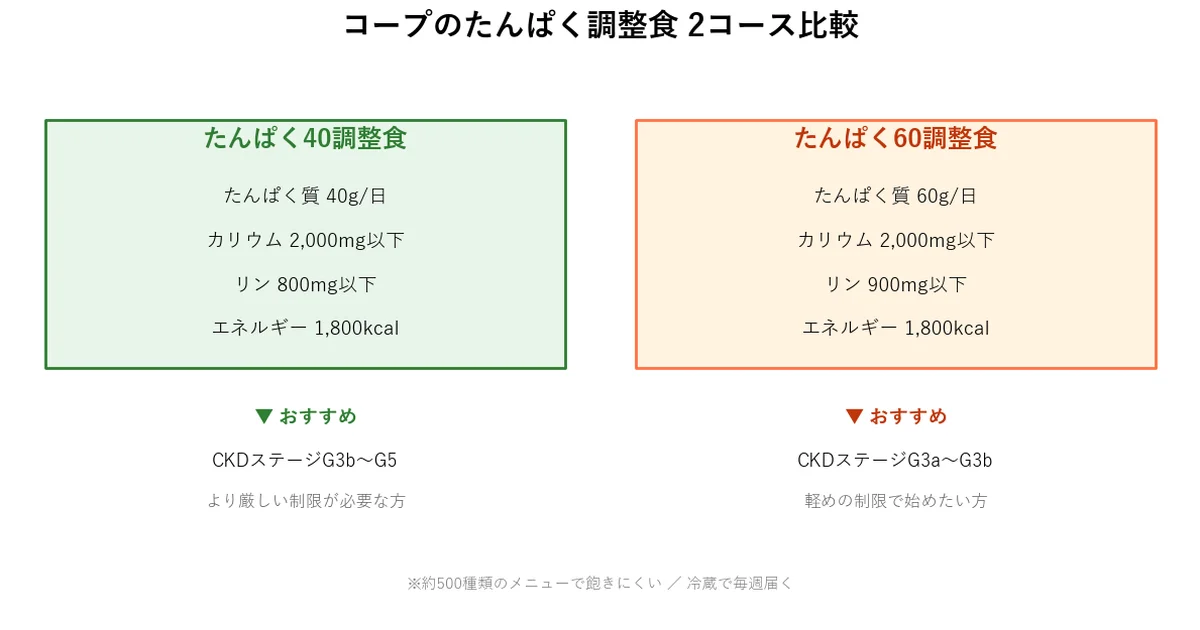 腎臓病のたんぱく40調整食解説図