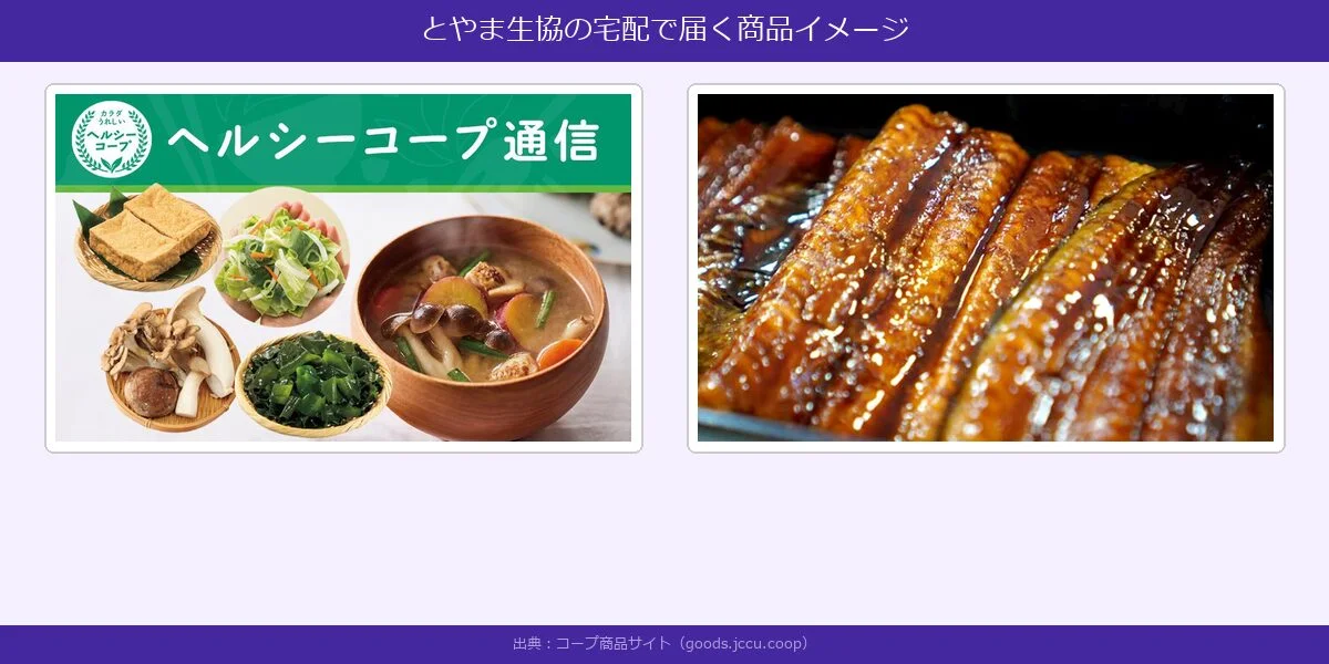 とやま生協のメリット:手数料の安さと充実のサポート制度解説図