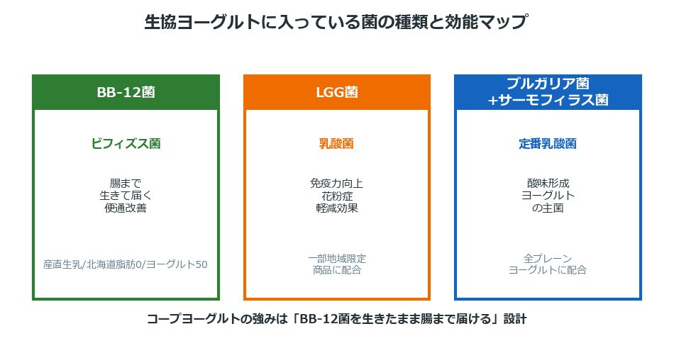 生協ヨーグルトに入るビフィズス菌BB-12と乳酸菌LGG菌の効能マップ